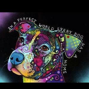 Meet your Posher, Margarita